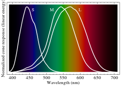 Cone-fundamentals-with-srgb-spectrum.svg