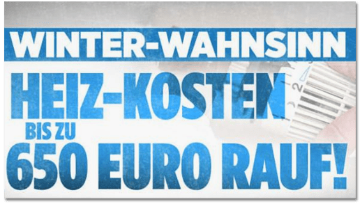 Screenshot Bild.de - Winter-Wahnsinn - Heiz-Kosten bis zu 650 Euro rauf