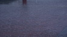 File:Rain falling on road - gnangarra.webm