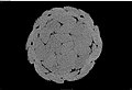 Micro-CT braided polymer rope 2D top view.jpg