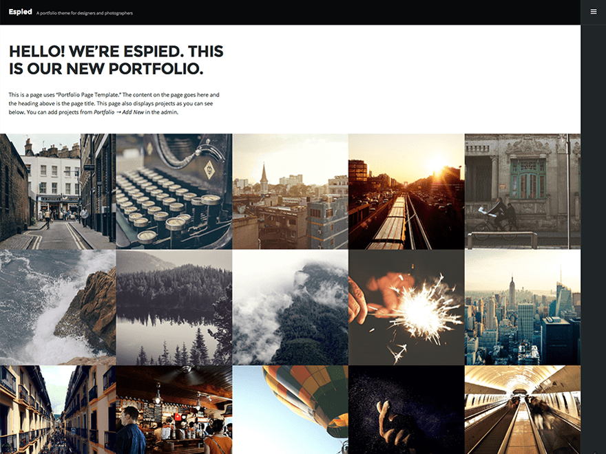 A portfolio theme for designers and photographers. Great for showing off your image oriented projects to the world.