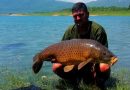 Upecao šarana od 17,5 kilograma na Ramskom jezeru