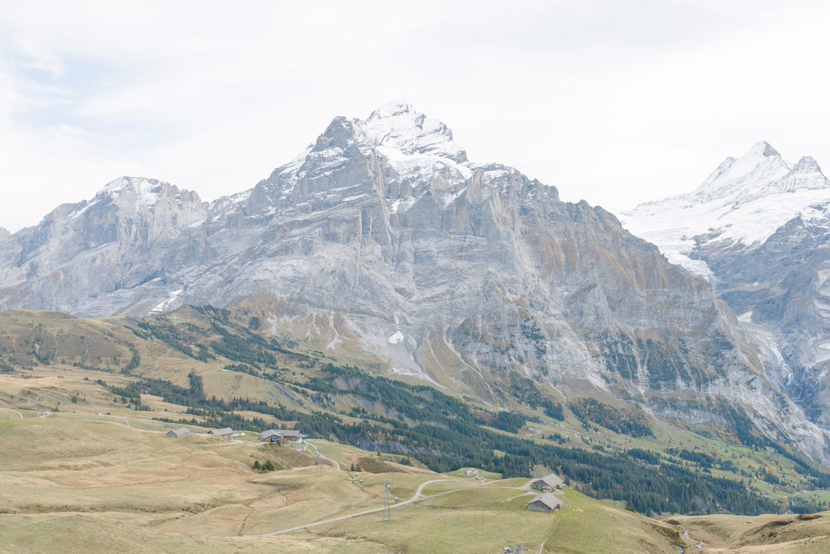 A wide look into a valley. Field in the front and forest behind that, gently sloping down. On the other side there's a rough rocky mountain side with snow covered peaks.