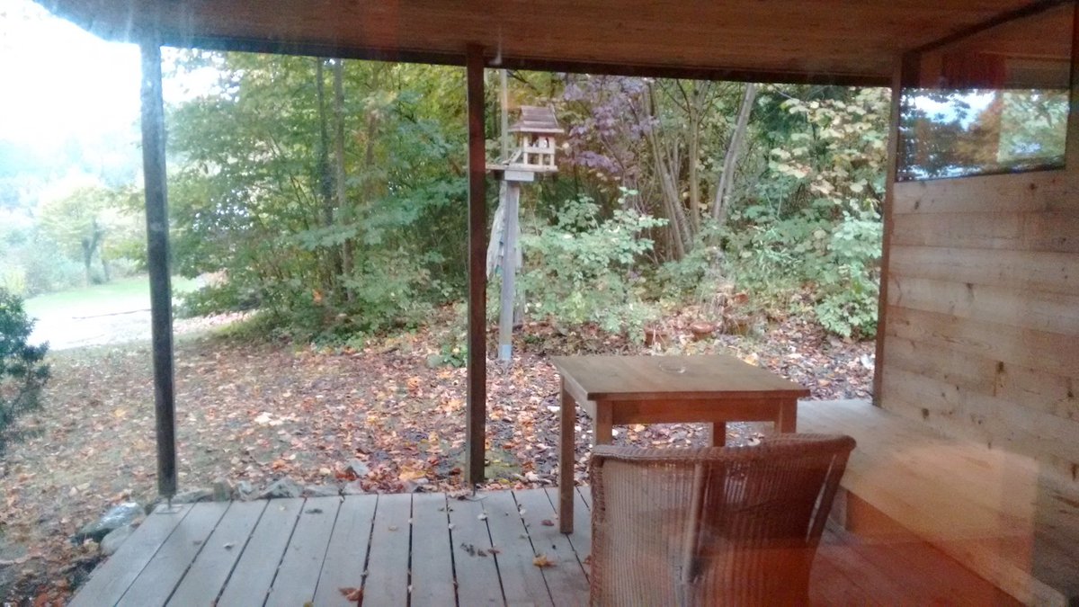 A wooden porch in the woods