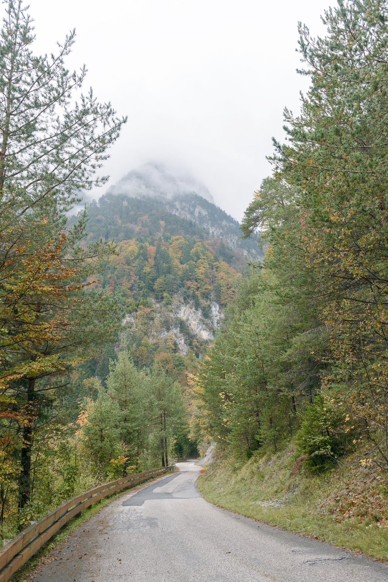 A downhill road bordered by forest. There's a peak in the background with autumn-colored forest, and its top in the clouds.
