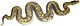 Python natalensis Smith 1840 white background.jpg