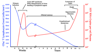 A graph with two lines. One in blue moves from high on the right to low on the left with a brief rise in the middle. The second line in red moves from zero to very high then drops to low and gradually rises to high again