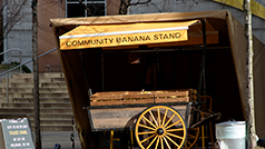 Community_Banana_Stand