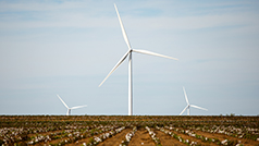 Texas Wind Farm