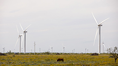 Texas Wind Farm