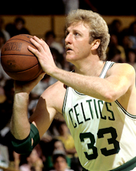 Bird holding a basketball, aiming to shoot