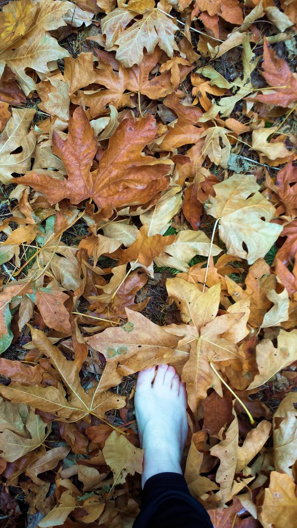 Foot stepping in dried fall leaves on ground - photography by Lorelle VanFossen.