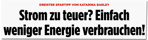 Screenshot Bild.de - Dreister Spartipp von Katarina Barley - Strom zu teuer? Einfach weniger Energie verbrauchen