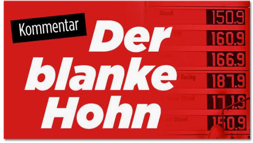 Screenshot Bild.de - Der blanke Hohn