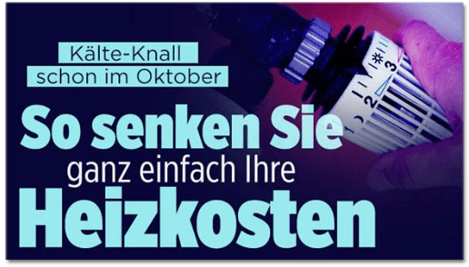 Screenshot Bild.de - Kälte-Knall schon im Oktober - So senken Sie ganz einfach Ihre Heizkosten