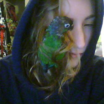 closeup picture of me with a parrot in my face