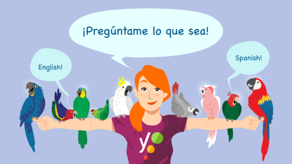 Yoast SEO Premium comes with Spanish customer support