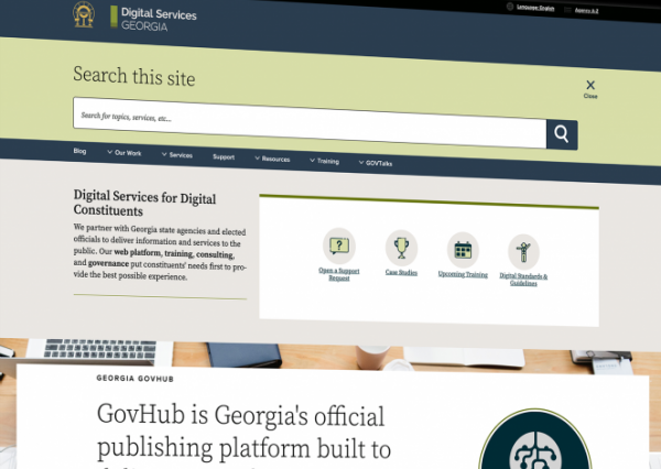 Digital Services Georgia website