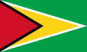 Flag of Guyana