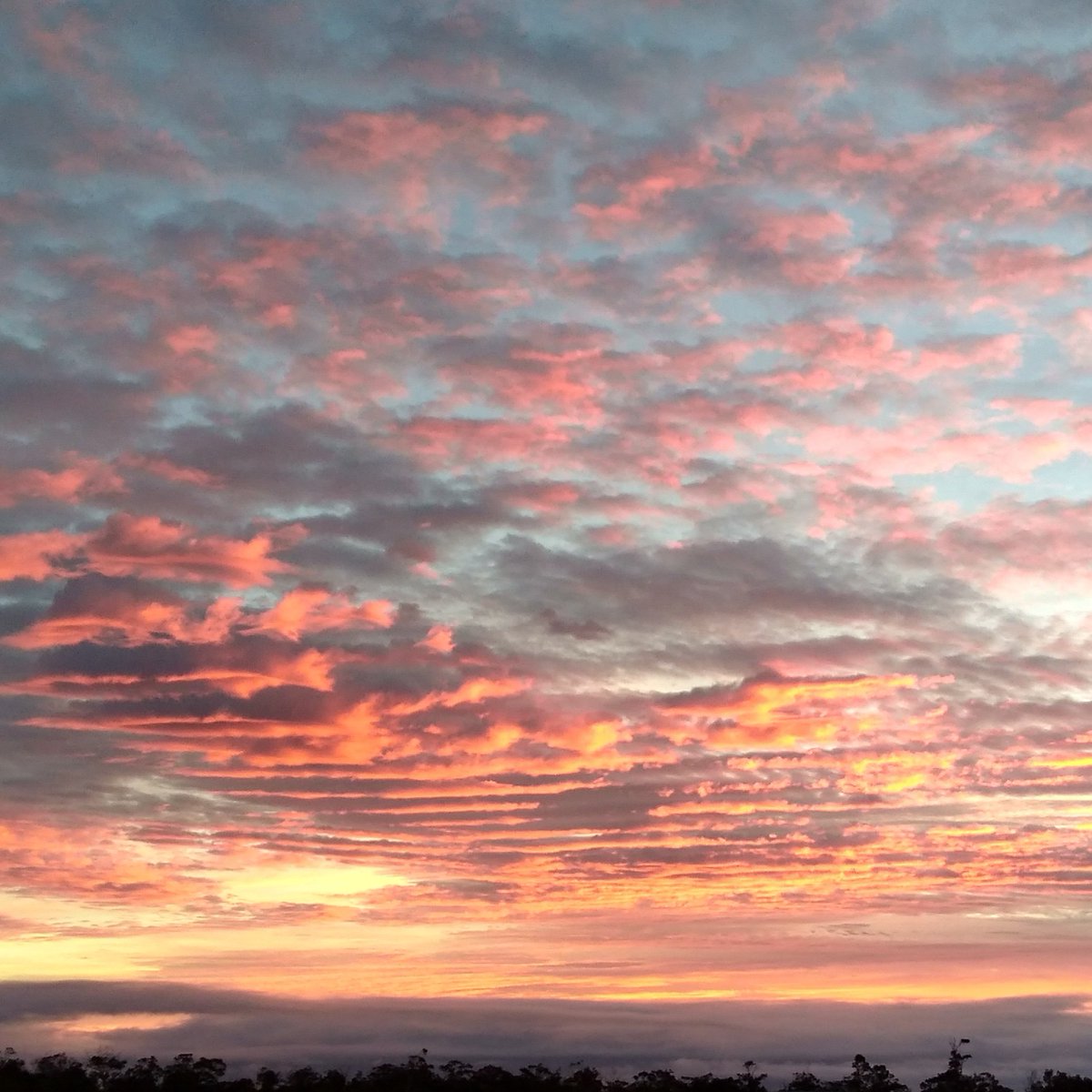 Sunrise in Volcano, Hawaii (photo by Daniel Jones of 7th Order)