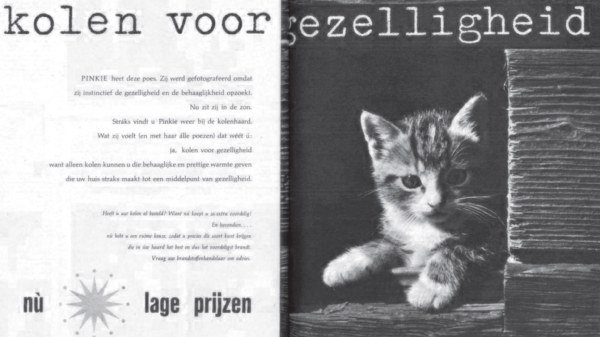 Pinkie the cat in Beatrijs; Catholic weekly for women, 19-07-1958 provided by Sven Ringalberg