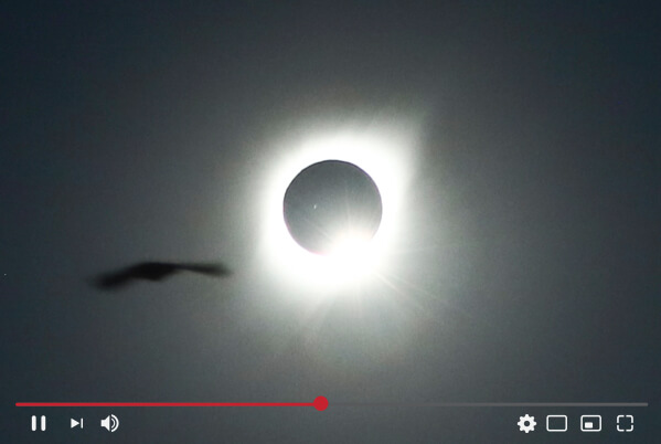 Screenshot of live streamed solar eclipse with bird passing in front.
