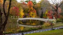 Autumn in Central Park photo walk