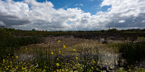 uci naturescape