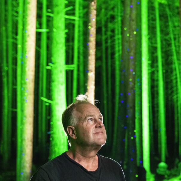 Flanked by a forest lit up in green and blue, a man looks up.