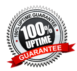 100% UPTIME GUARANTEE