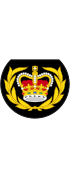 British Royal Marines OR-8.svg