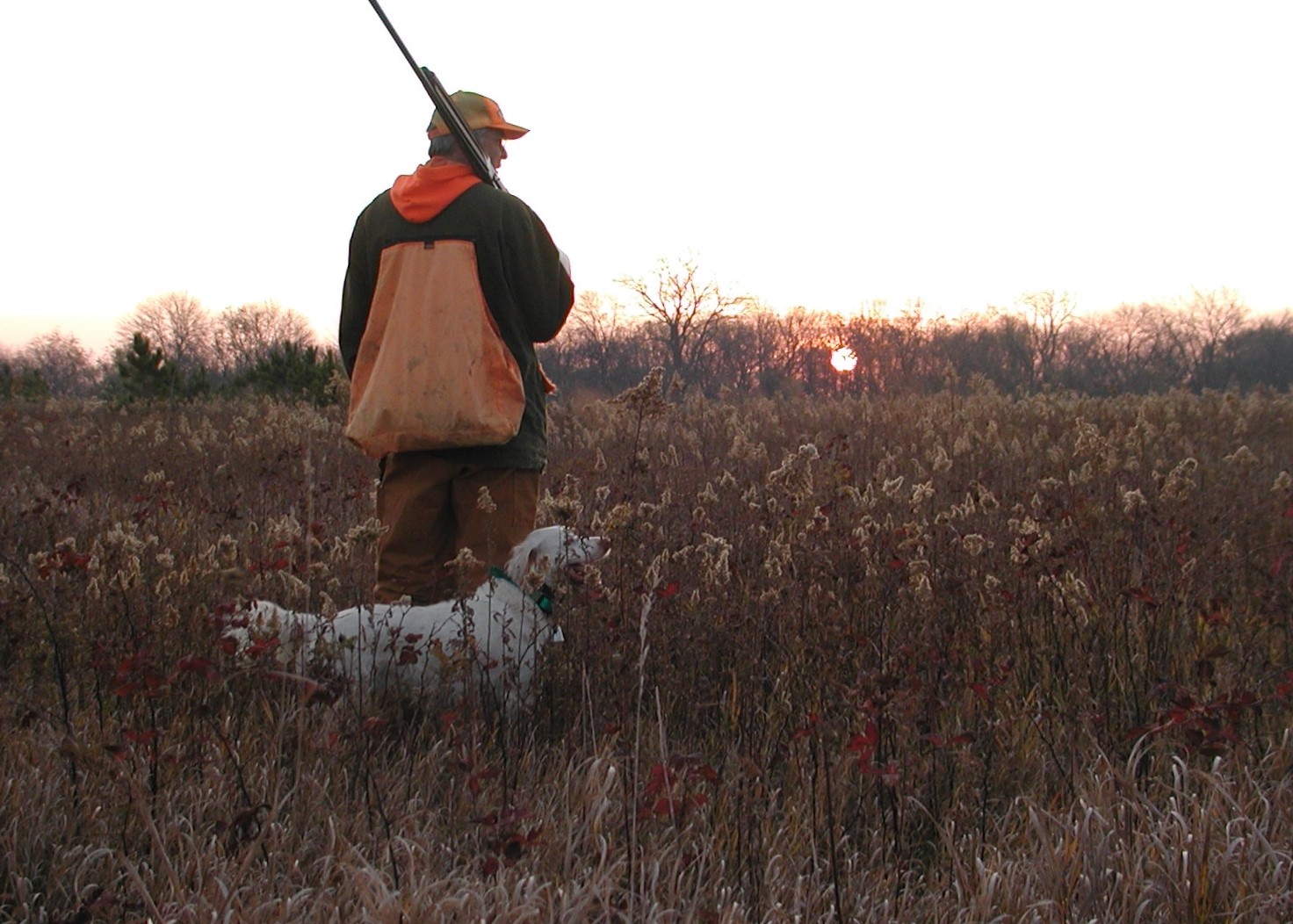 Otis&nbsp;Kirchhoefer and his Dixie (one of my favorite dogs I have hunted with) look into the rising sun a decade ago on opening weekend of pheasant hunting in Illinois; pheasant season opens Nov. 6. Credit: Dale Bowman