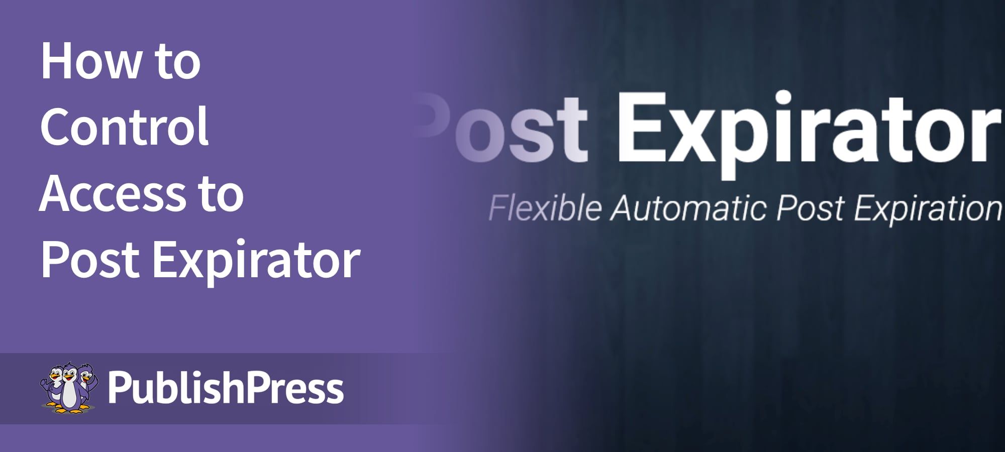 Post Expirator Control