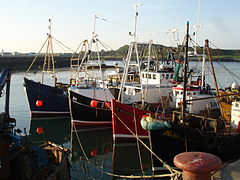 Ardglass (2), May 2009.JPG