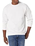 Hanes Men's EcoSmart Sweatshirt