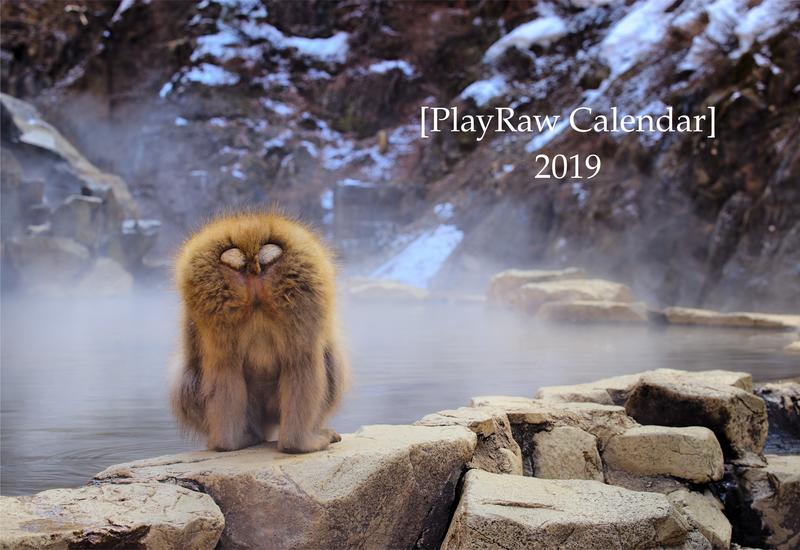 Play Raw Calendar 2019