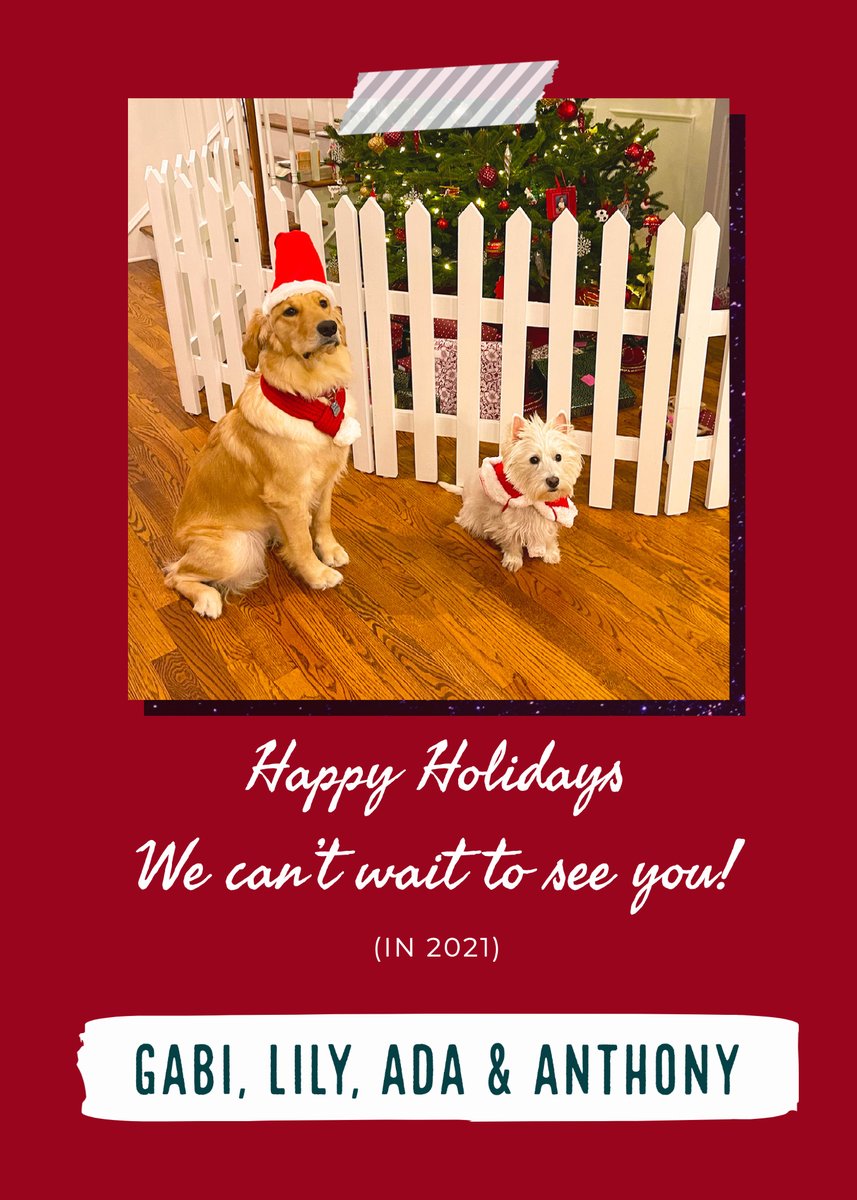 A Golden Retriever (Lily) and a Westie (Ada) on Christmas Atire in front a Christmas tree posing for a picture for Christmas!