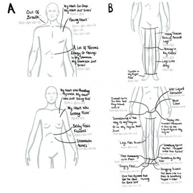 This shows the body map