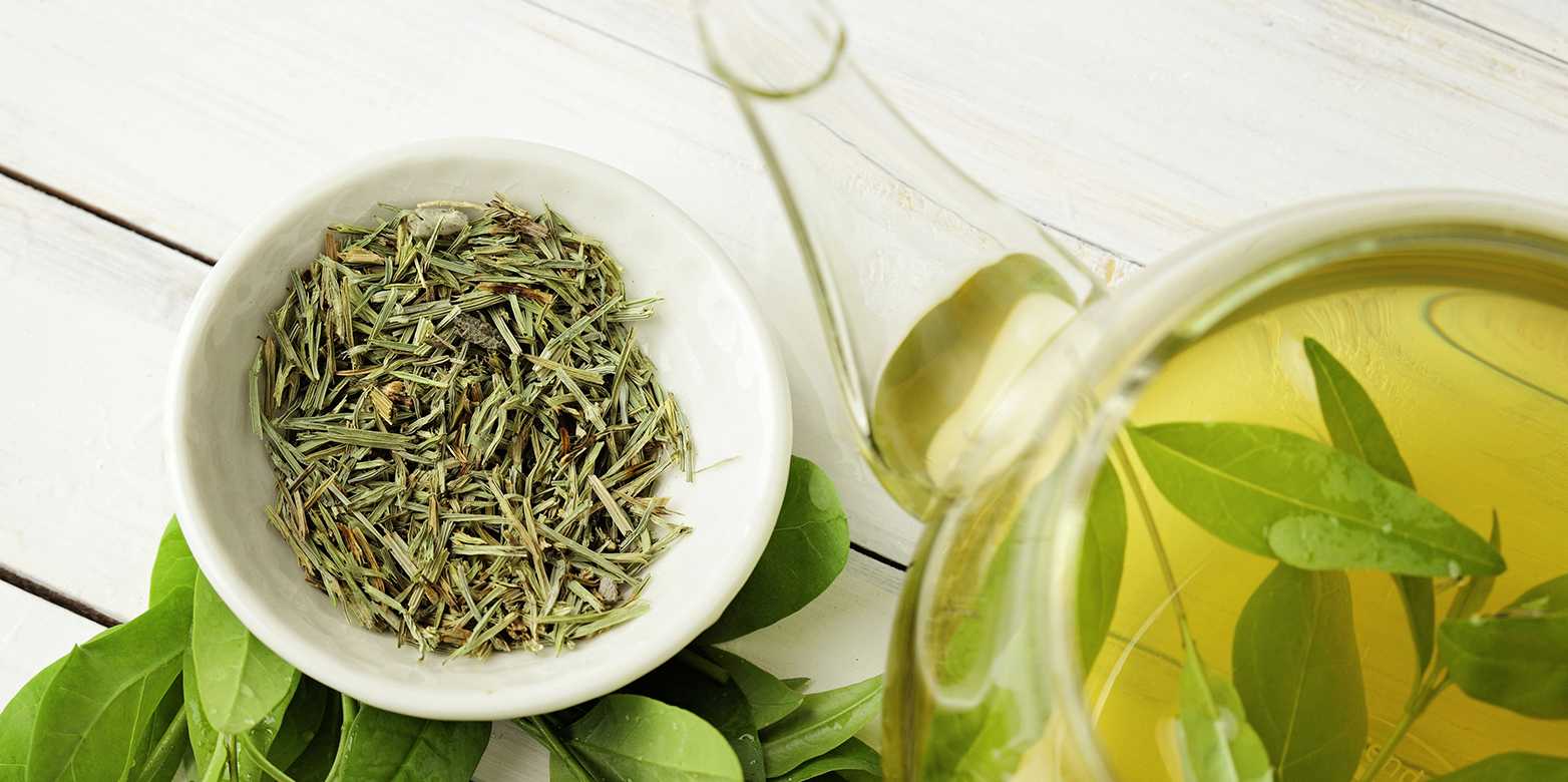 A pot and a bowl with green tea leaves