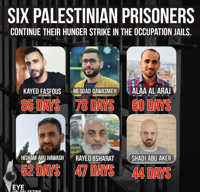 Take action: Stand With Palestinian Hunger Strikers