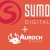 Behind the scenes of Sumo's $8.3 million acquisition of Auroch Digital