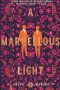 Caren Gussoff Sumption reviews <b>A Marvellous Light</b> by Freya Marske