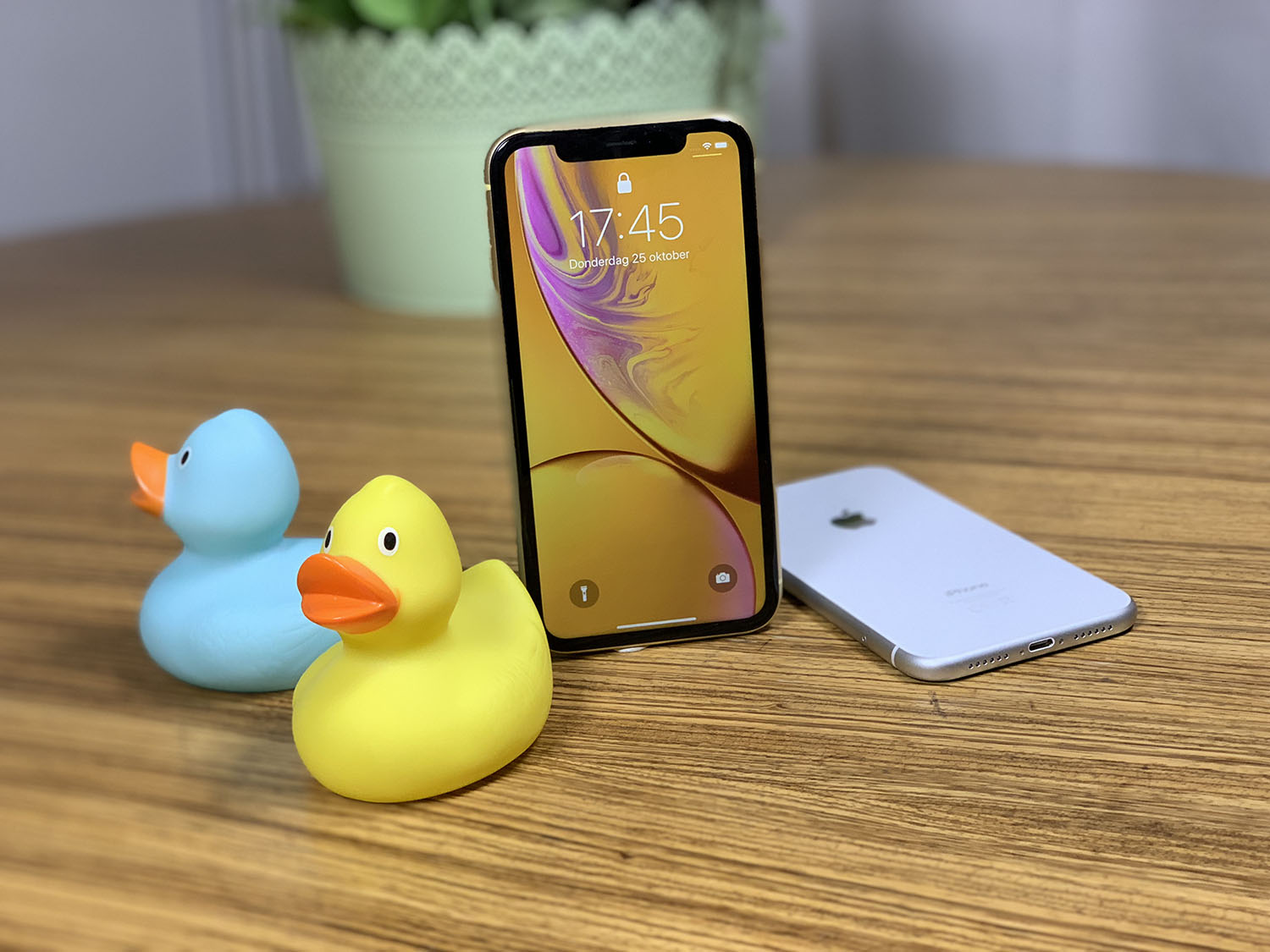 iPhone XR preview met eendjes