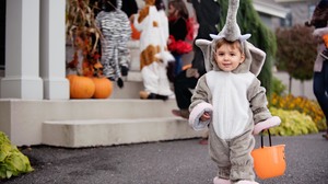 LIttle boy dressed up in an elephant costume for Halloween.