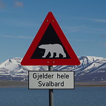 NO-spitzbergen-eisbaer-schild.jpg