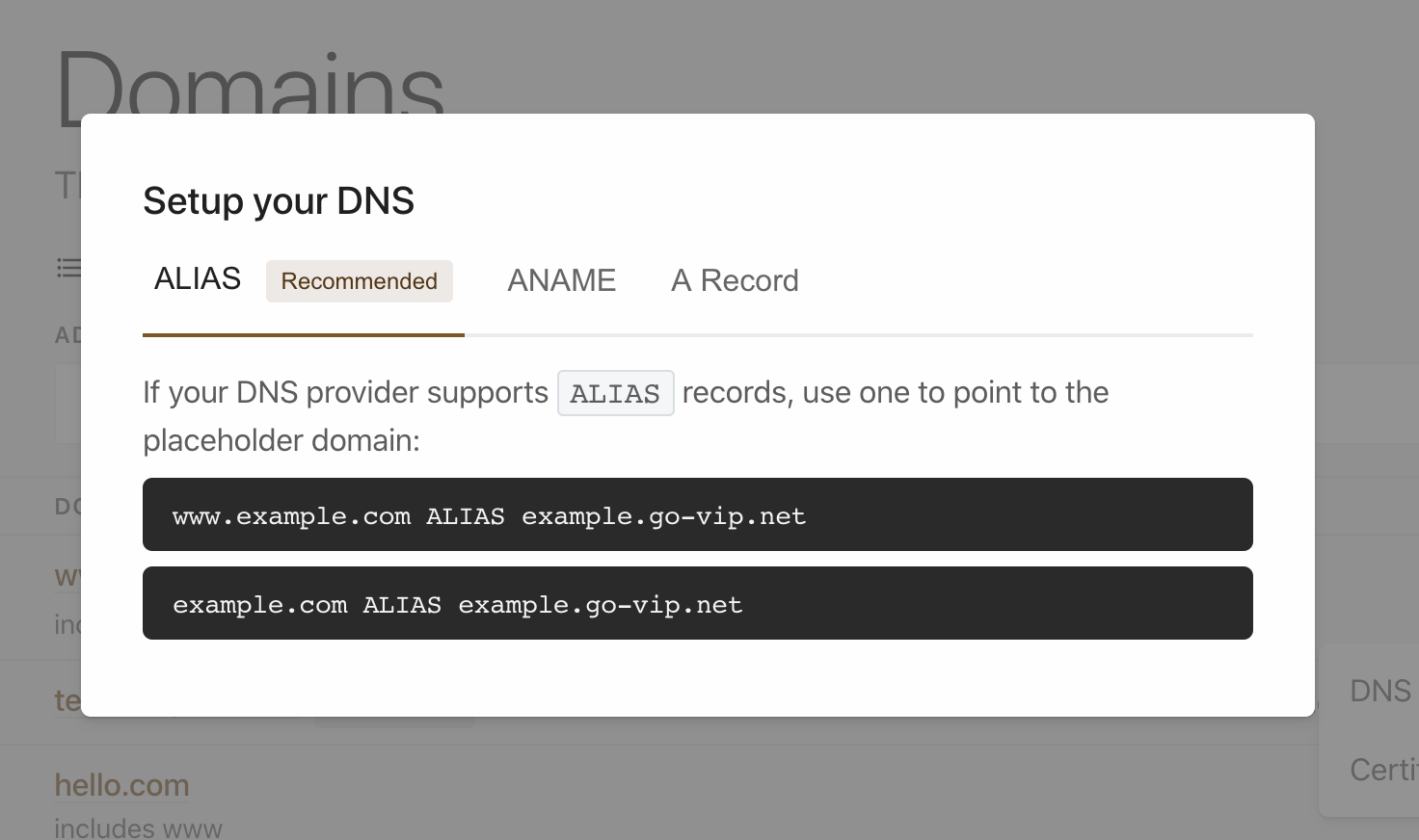 VIP dashboard DNS record screen