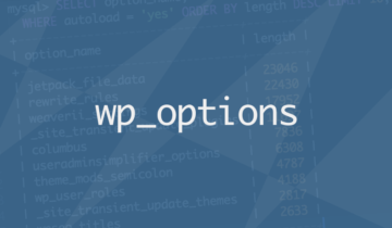 Производительность опций в WordPress