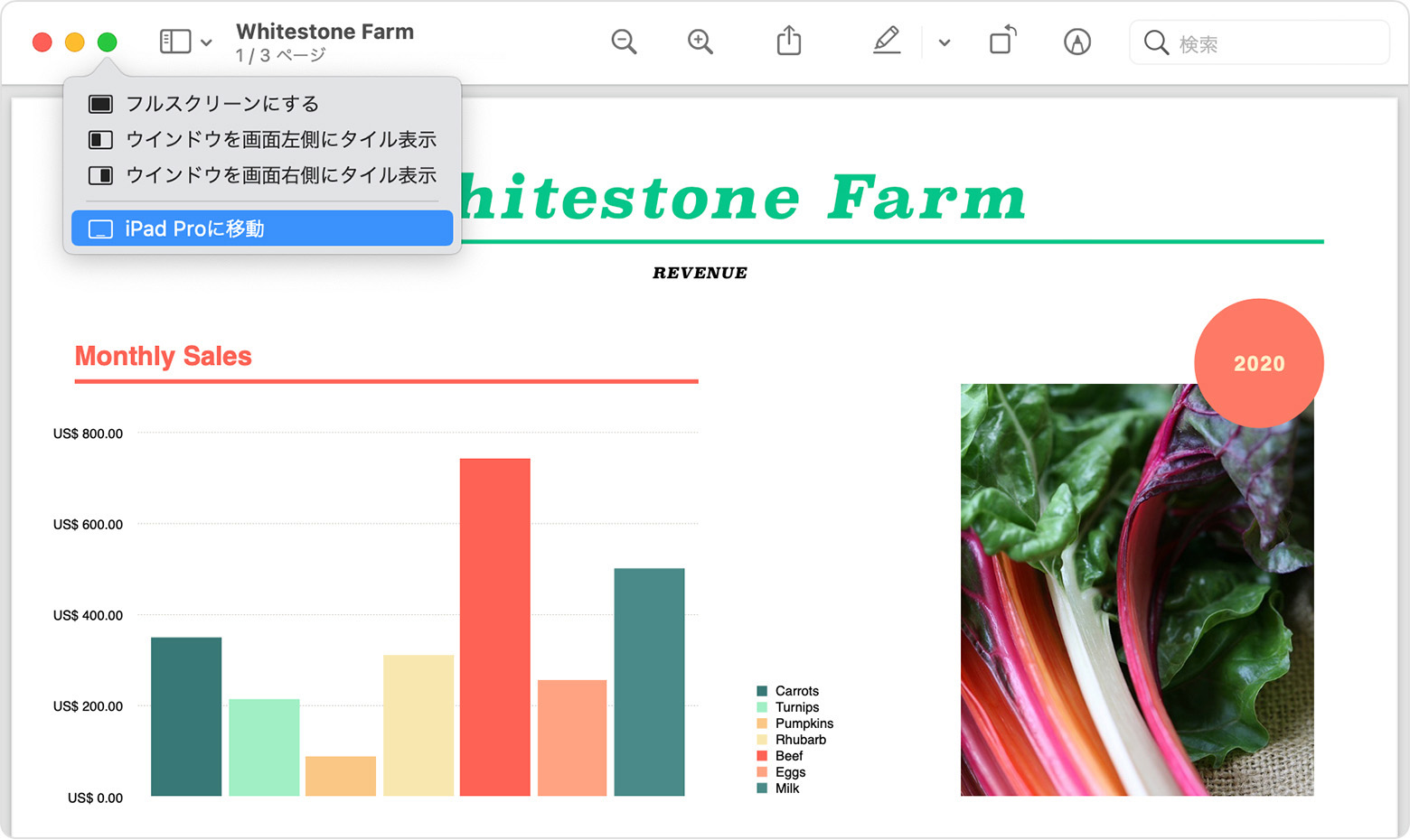 PDF のフルスクリーンボタンの上にカーソルを置いて表示したメニューオプションで、iPad が選択されているところ