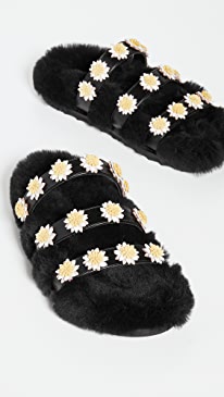 Fabrizio Viti - Berkley Daisy Slides