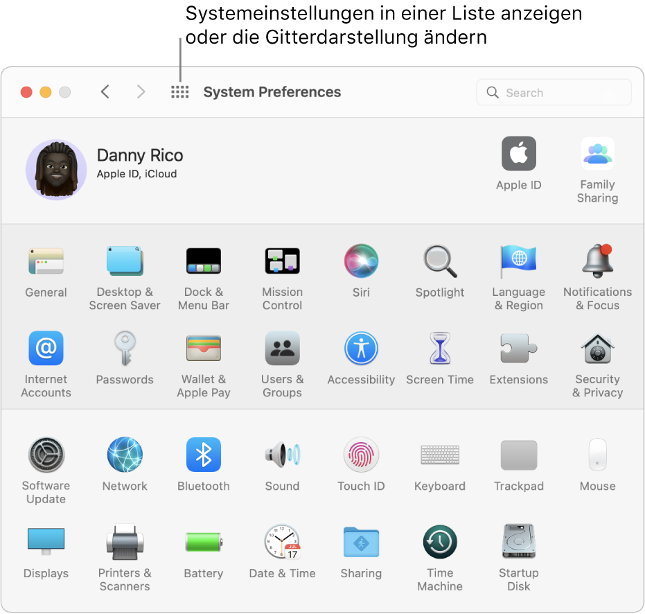 Das Fenster der Systemeinstellungen mit einem Raster der Symbole. Klicke auf die Taste „Alle anzeigen“ in der Symbolleiste des Fensters, um die Systemeinstellungen als Liste anzuzeigen, oder ändere das Erscheinungsbild des Rasters.